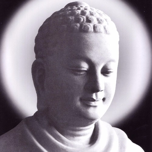 Phật Học Khái Luận 05 - HT Thích Chơn Thiện