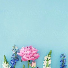 فترة مش سهلة .. رامى جمال