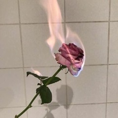 burning roses w/ tearz