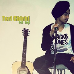 Teri Chirhi | Akash Narwal | New punjabi song