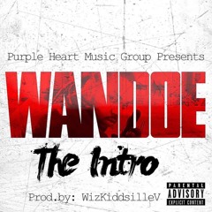 Wandoe x Intro