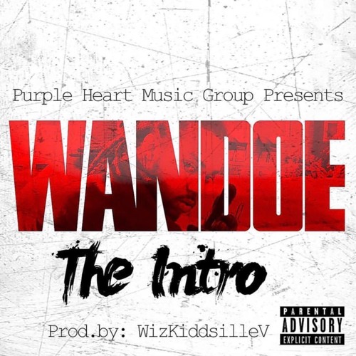 Wandoe x Intro