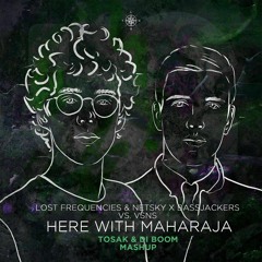 Lost Frequencies & Netsky X Bassjackers Vs. VSNS - Here With Maharaja (TOSAK & DI BOOM Mashup)