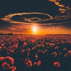 Arilena Ara - Nentori( Gabriel S REMIX)Preview