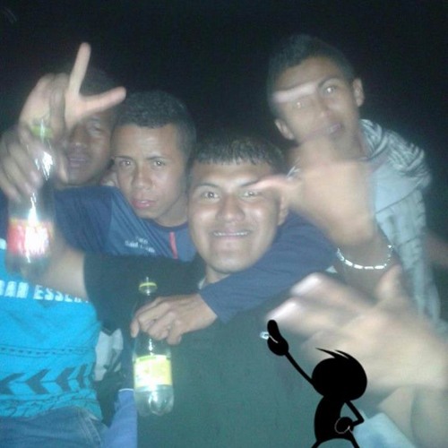 CUMBIAS SUREÑAS MIX  2017 (Camilo El Dj )