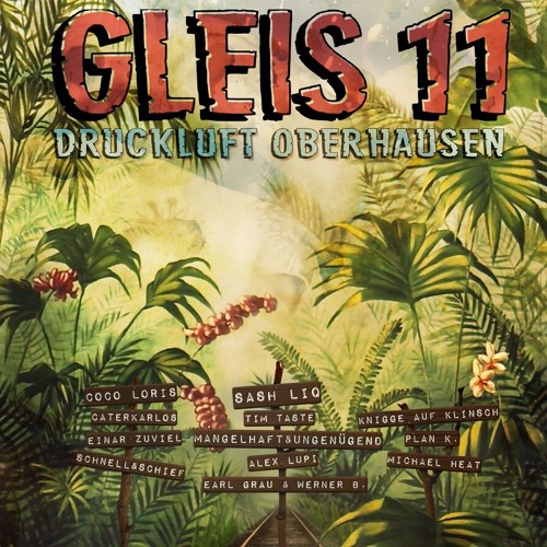 BahnsinnigesGleis11