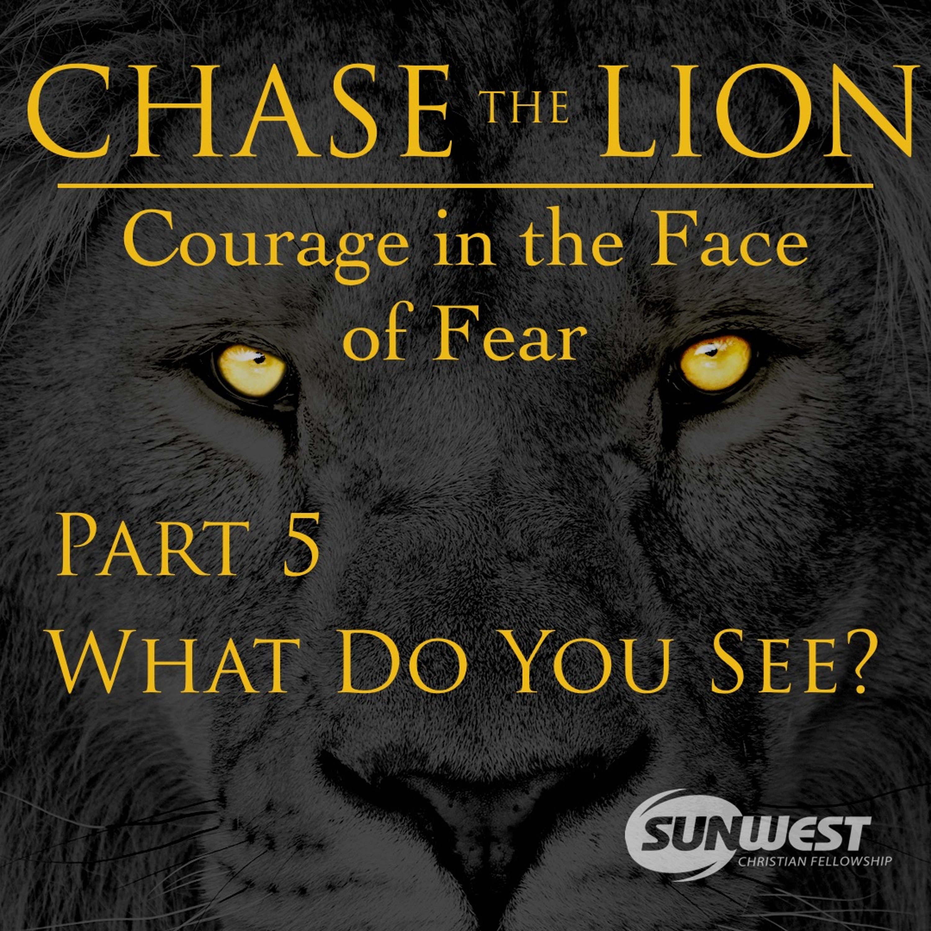 2017-10-15 Chase the Lion - Part 5: What Do You See?, Matt Dyck episode artwork
