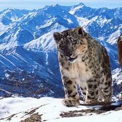 nepal w/ yuki santoki