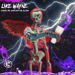 Like Wayne - @CCdimi vs @LILBABYSUPLEX vs @SLMRGRS