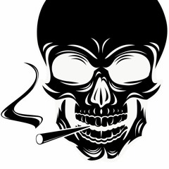 1.17.15 Reason Beat Snip