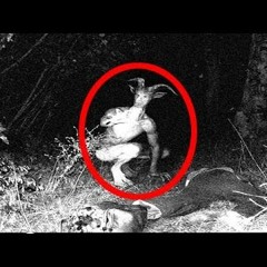 Goat Killer-Fuck You! Hail Satan!