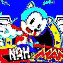 You Reposted In The Wrong Sonic Game