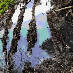 65735835673413451346