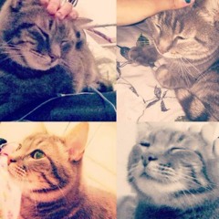 Is your baby in heaven too?