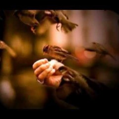 FAQEERI By Nauman Shafi Feat Wajji Ali