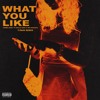 What You Like Feat T Pain Mp3