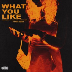 What You Like FEAT T-PAIN