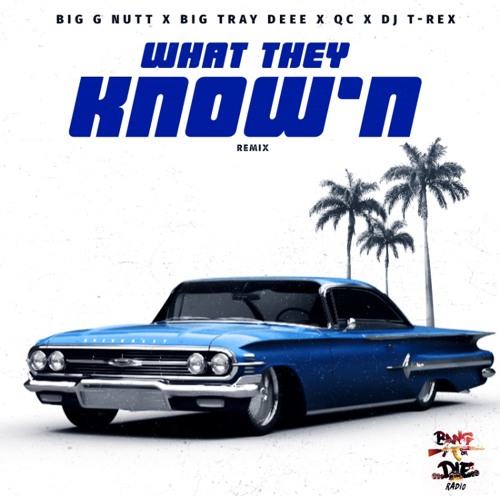 Big G Nutt X Big Trey Deee X Qc X Dj T Rex By Bang Or Die Radio