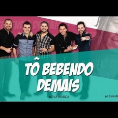 TO BEBENDO DEMAIS - TCHÊ CHALERA DJ ALVARO REMIX