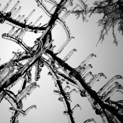 Svenchen presents Roy Street Beats