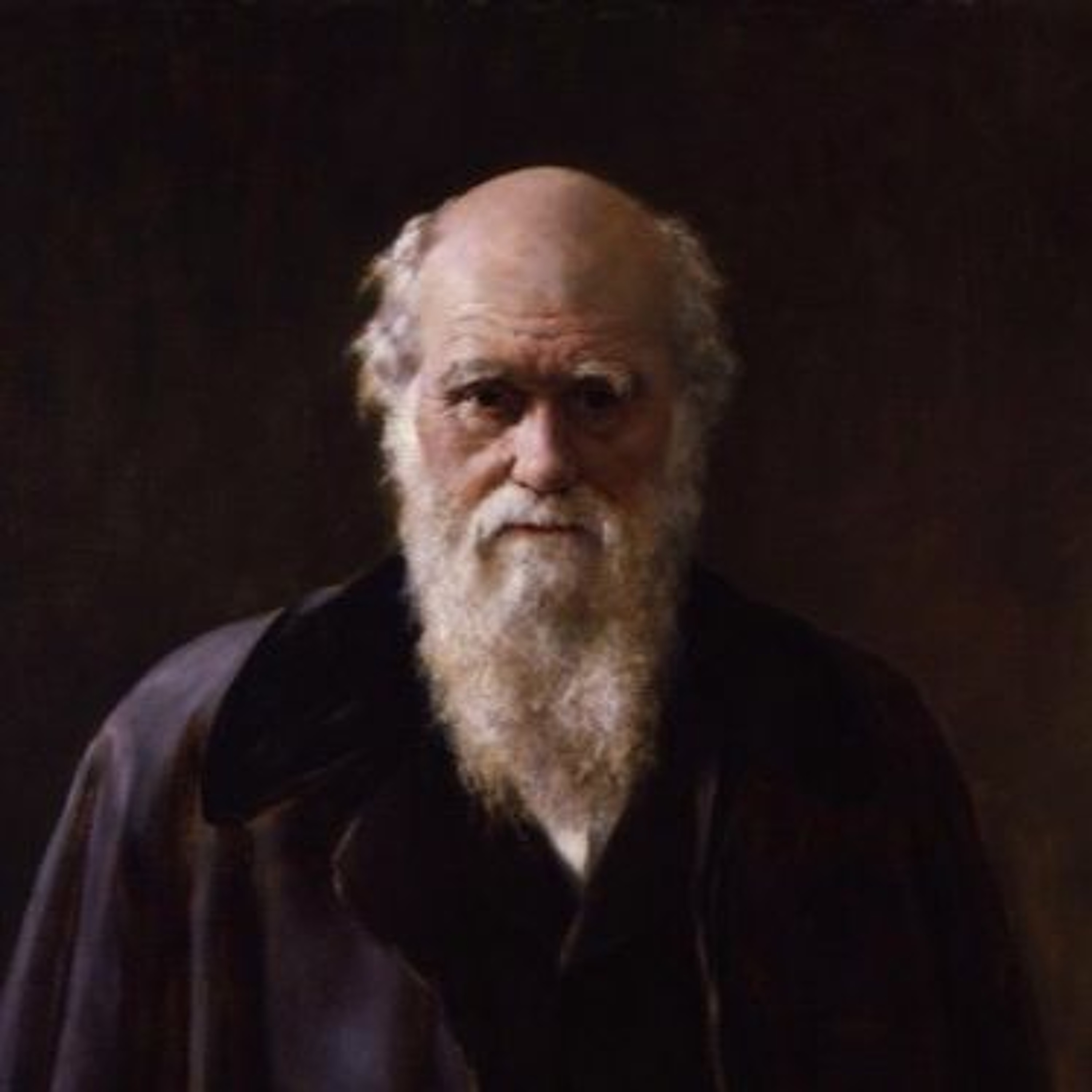 Islam and Evolution: Was Darwin Right and Why Should Muslims Care? episode artwork