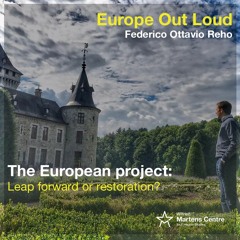The European project: leap forward or restoration?