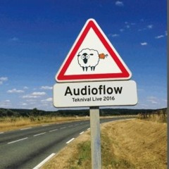 AUDIOFLOW /// Teknival Live 2016