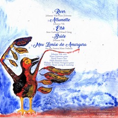 Meu Limão De Amargura