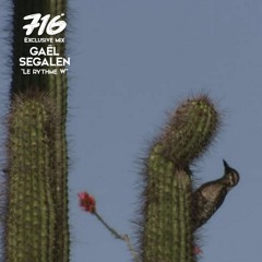 716 Mix - Gaël Segalen : Le Rythme W