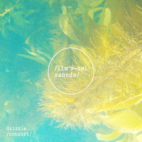 Premiere: Grizzle 'Consort'