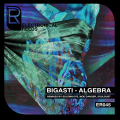 Premiere | Bigasti - Algebra (Souldust Deeper Remix) Electronical Reeds