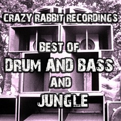 Doozer - On The Rise (Dj Purple Rabbit Funky Dnb Remix)  Free Download
