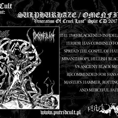 Shades Cast No Shadows