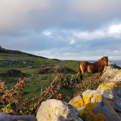 Chats with Deirdre Ní Chinnéide on Aran Islands