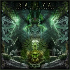 03 - Sativa - From The 7th