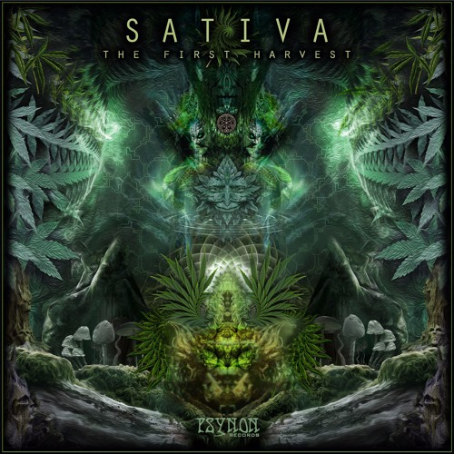 03 - Sativa - From The 7th