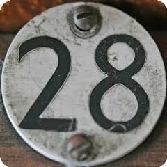 Ramarim -    28