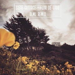 Siete Catorce - Flor De Lirio (DLMJ Remix)