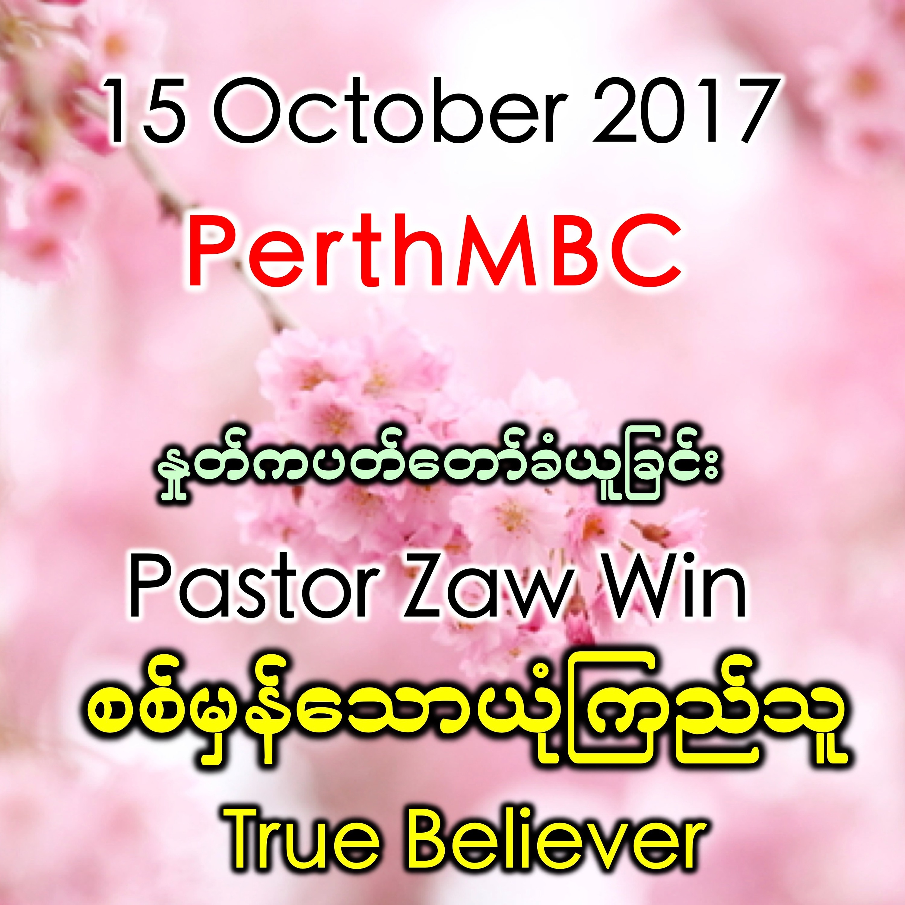 True Believer episode artwork