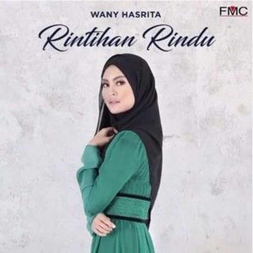 wany hasrita lagu baru