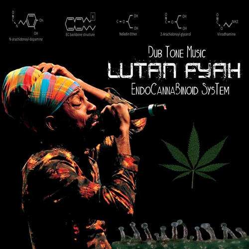 Lutan Fyah - EndoCannaBinoid System [Dub Tone Music 2017]
