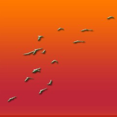 untan - numbers in life