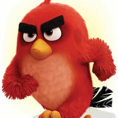 SkiDo Beats -Angry Birds
