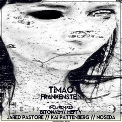 Timao - Frankenstein (Kai Pattenberg Remix)