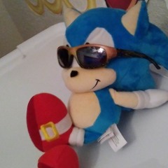 Panic Puppet Zone... For Twinkle Park - Sonic Adventure 3D Blast DX