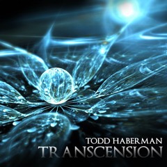 Todd Haberman - Lift Me