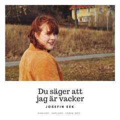 Du Säger Att Jag Är Vacker