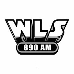 WLS AM 890 - Rona Borre Interview with Lauren Cohn