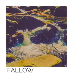 Fallow [prod. by VYLAN]
