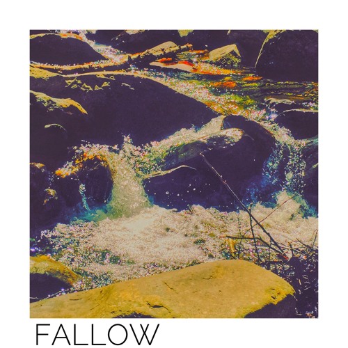 Fallow [prod. by VYLAN]